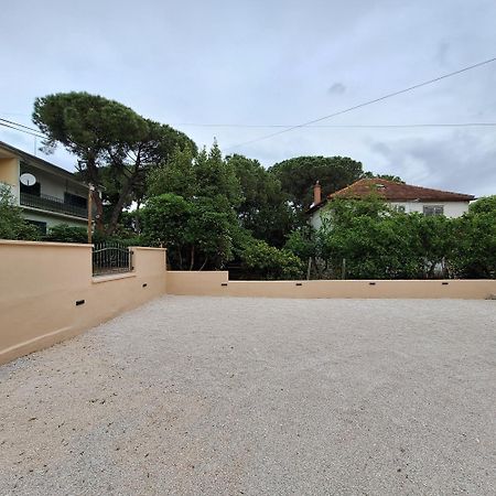 Apartments Elena & Lana Zadar Exteriör bild